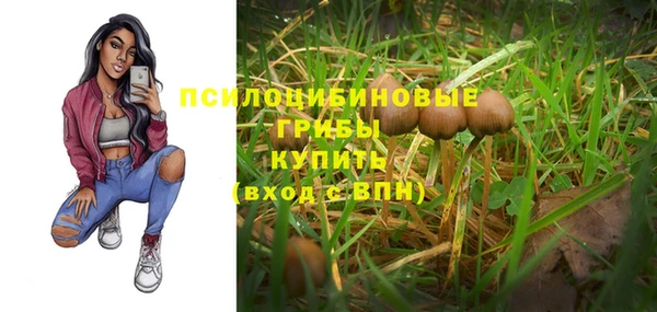 стаф Остров