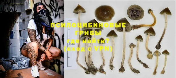 MDMA Осинники