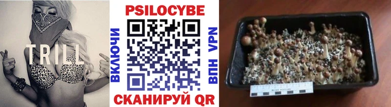 Галлюциногенные грибы Magic Shrooms  площадка наркотические препараты  Кушва  blacksprut рабочий сайт 