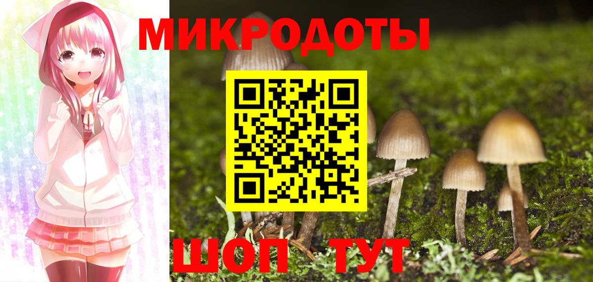 Псилоцибиновые грибы Кушва