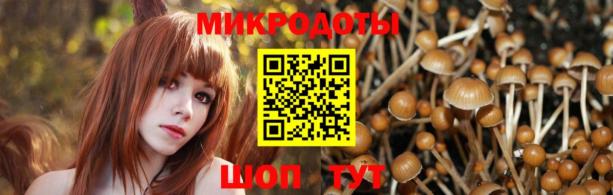 Кушва  Псилоцибиновые грибы Cubensis  Вход с VPN 